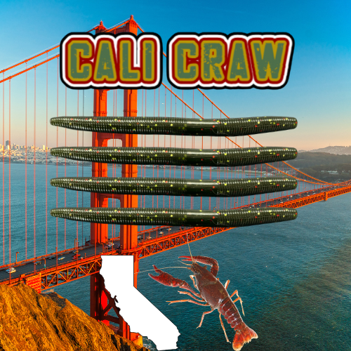 5" SHIMMY STICK WORM