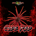 PRE-ORDER TOGE ORB!