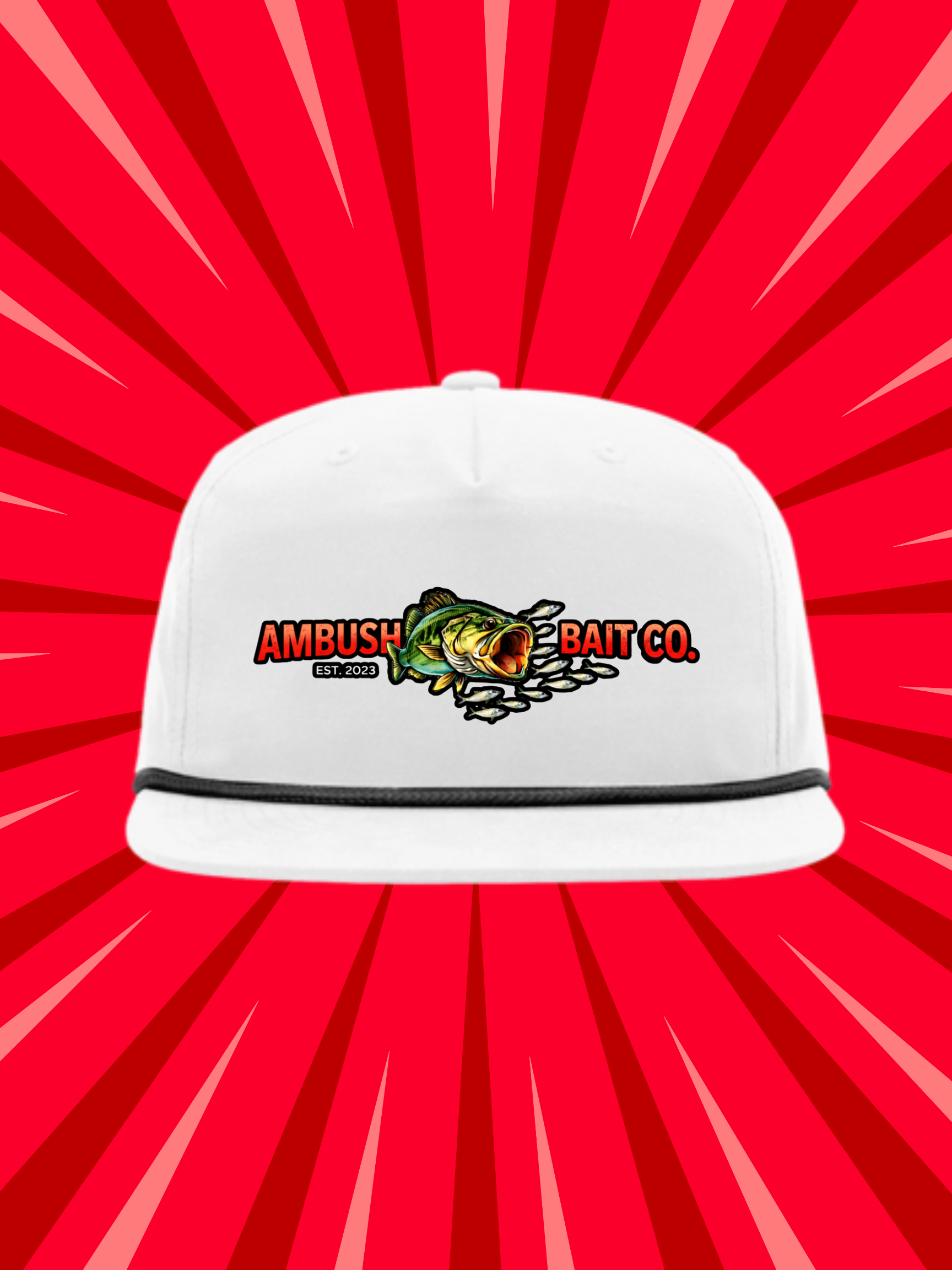 Structured 5 Panel Hat