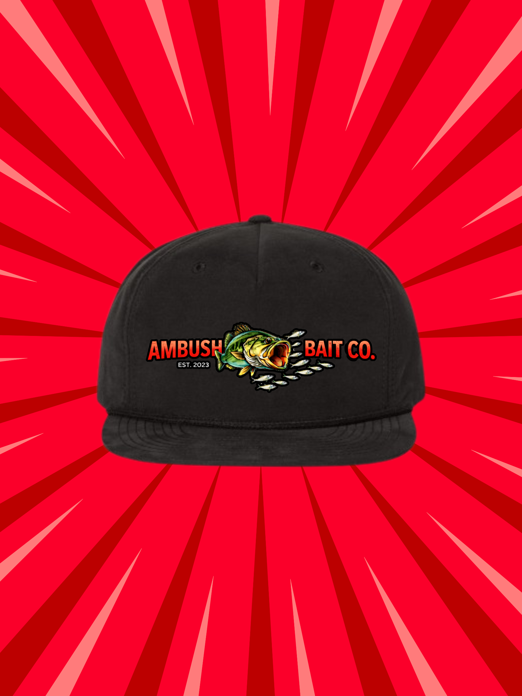 Structured 5 Panel Hat