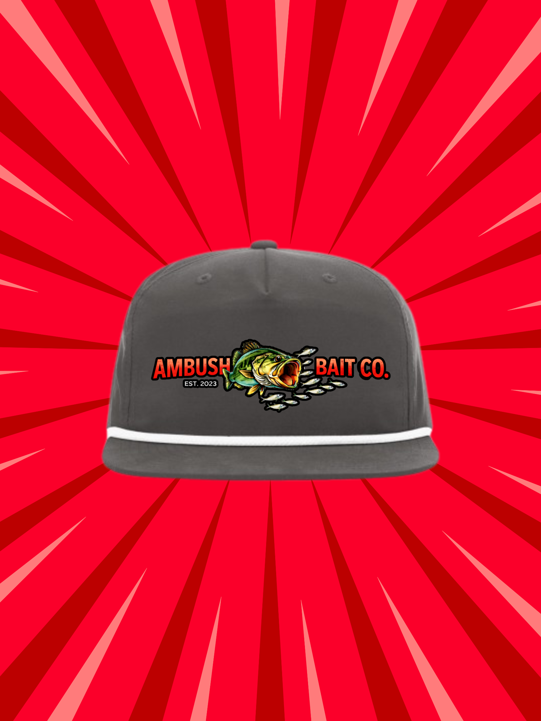 Structured 5 Panel Hat